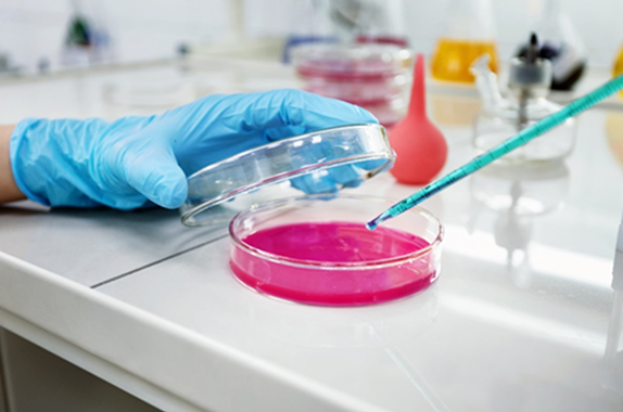 Controle microbiológico em alimentos e águas