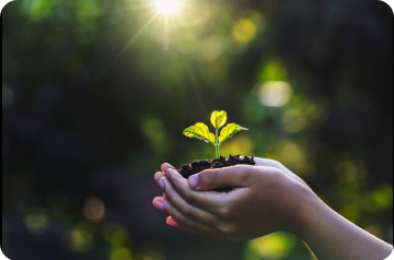 GEPHAE - Grupo de Estudo e Pesquisa em História Ambiental e Educação