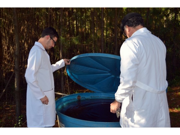 Foto da galeria: Unesc participa de projeto indito no Brasil para recuperao de reas degradadas pela minerao